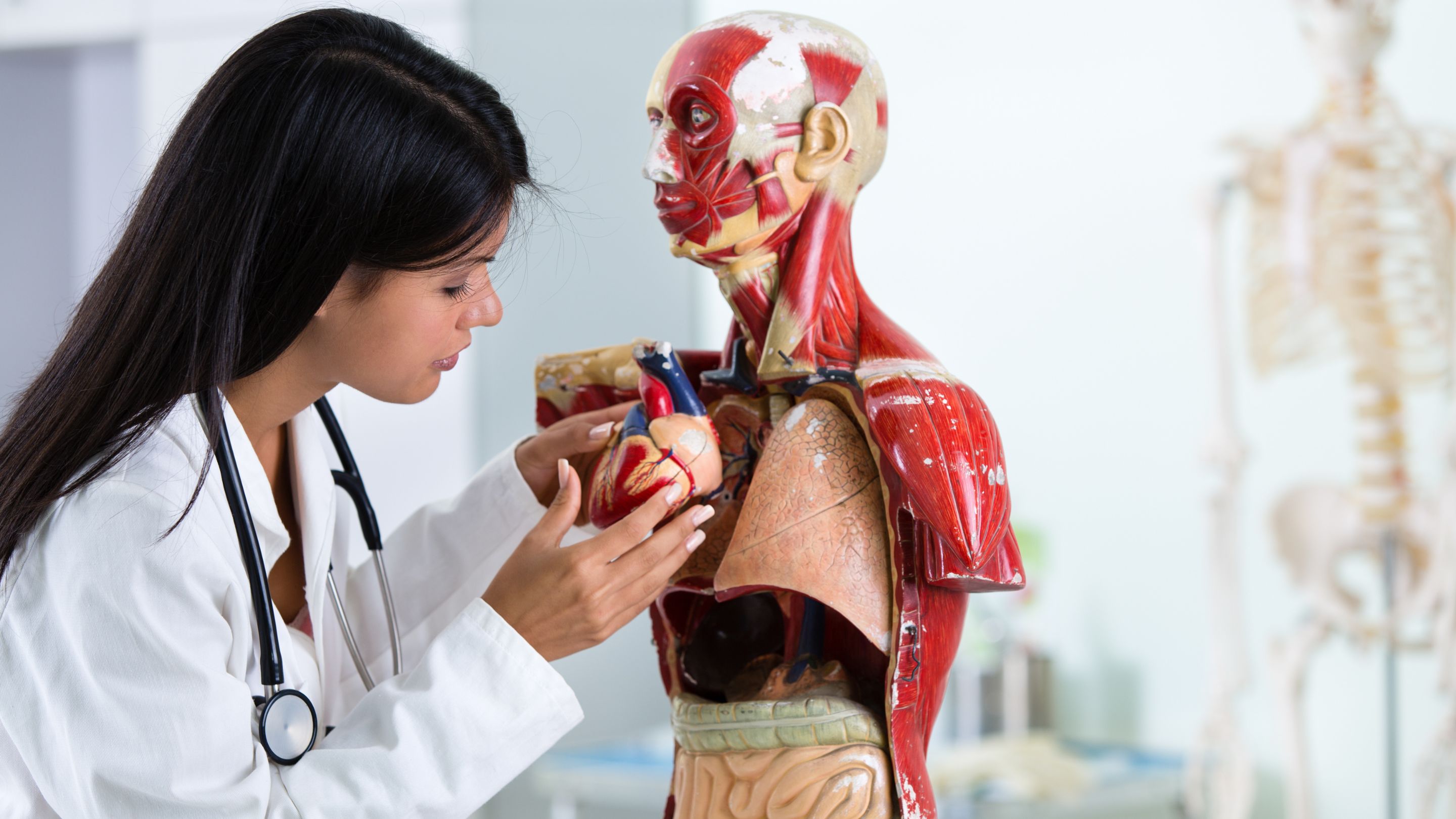 Course Image Anatomy and Physiology