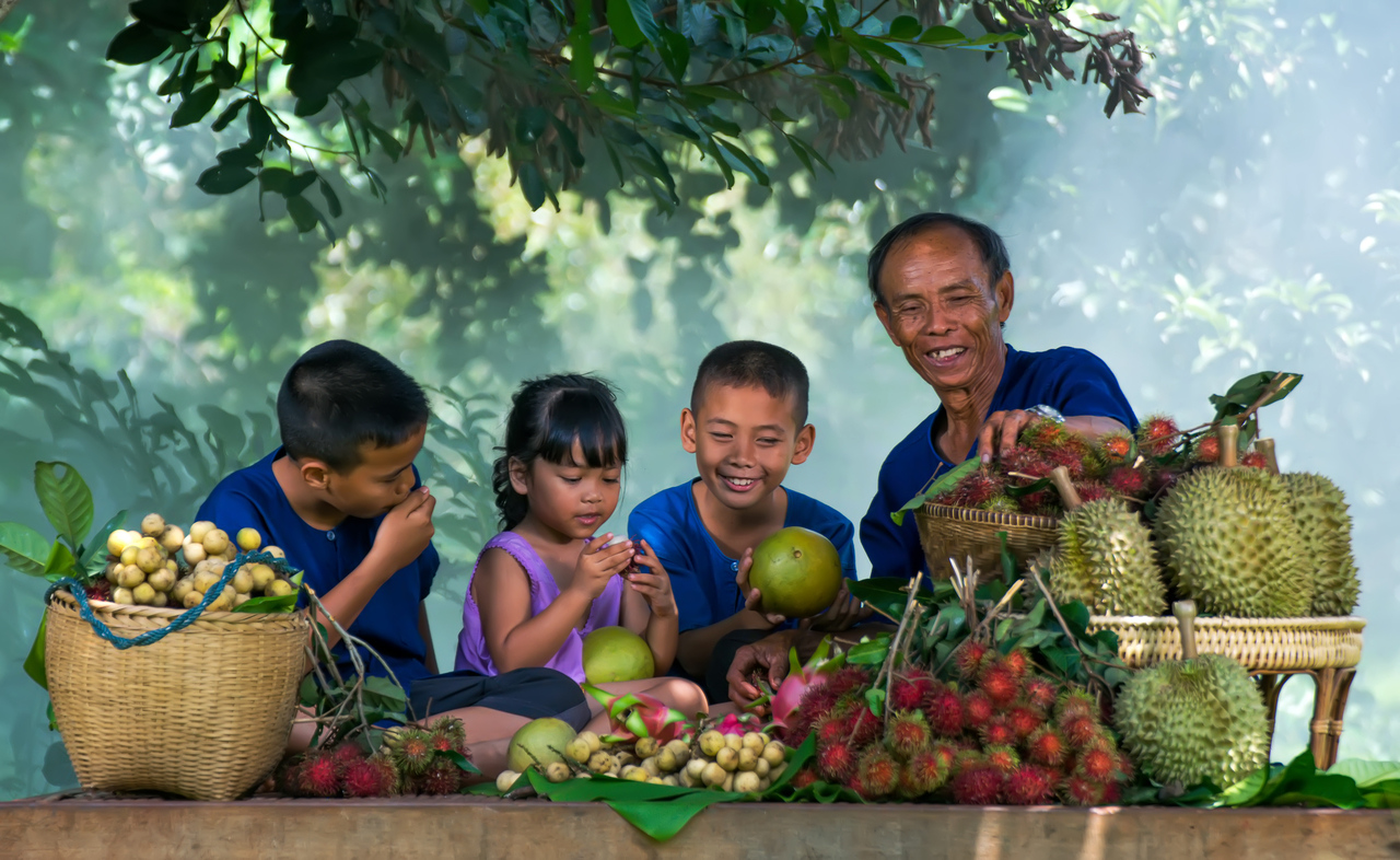 Course Image Public Health Nutrition